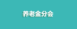 養(yǎng)老金分會(huì)